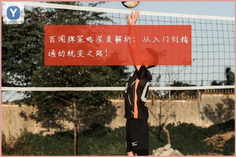 百闻牌策略深度解析：从入门到精通的蜕变之路！