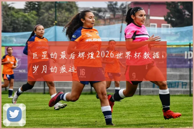 巨星的最后辉煌2026世界杯数据，岁月的痕迹