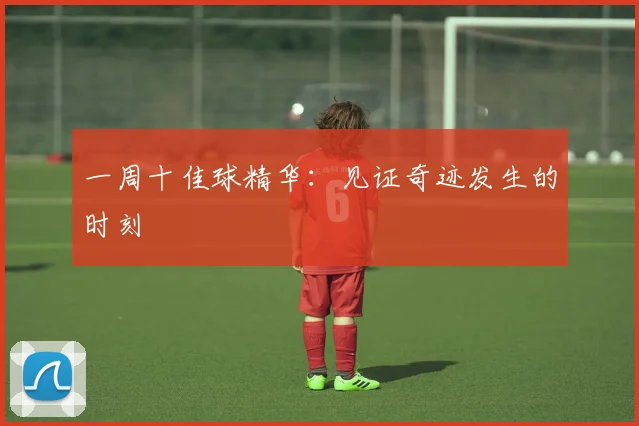 一周十佳球精华：见证奇迹发生的时刻
