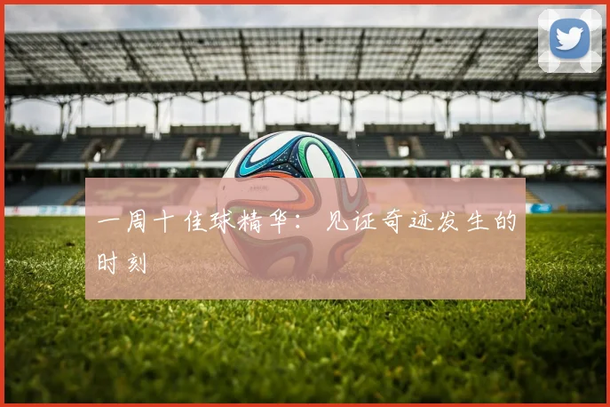 一周十佳球精华：见证奇迹发生的时刻