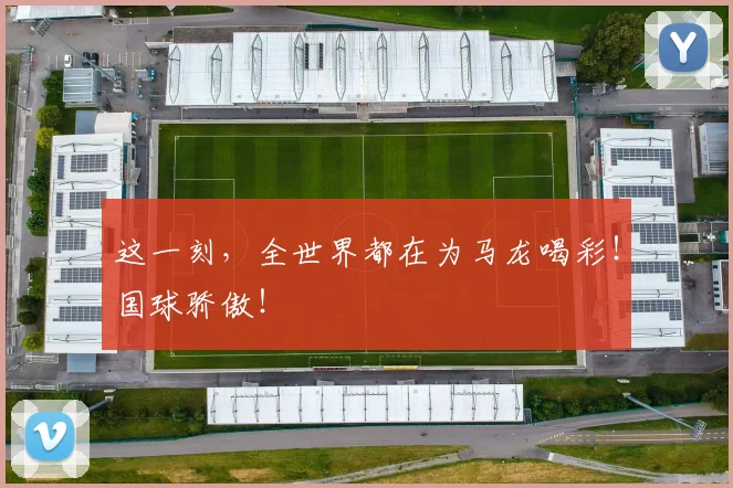 这一刻，全世界都在为马龙喝彩！国球骄傲！